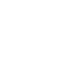 icon FASTSPIN